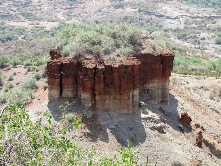 8 Days Tanzania Culture & Wildlife Safari