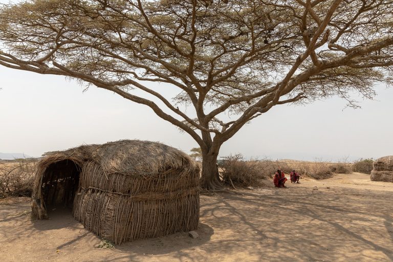 6 Days Tanzania Safari, Wildlife and Culture