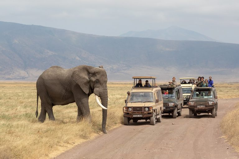 12 Days Wildlife Photography Tour Tanzania