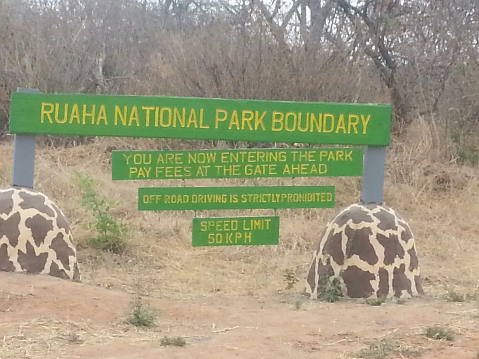 A green and yellow national park boundary sign standing in dry grass between two boulders painted in a giraffe pattern. It reads "Ruaha National Park boundary", "You are now entering the park, pay fees at the gate ahead", "Off road driving is strictly prohibited" and "Speed limit 50 kph".
