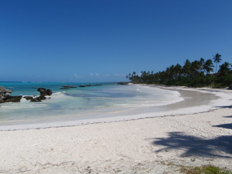 5 Days Zanzibar & Tanzania Safari | Beach & Wildlife Holiday