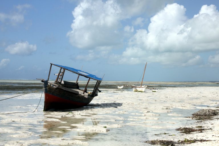 8 Days Tanzania Safari and Zanzibar Holiday | Bush & Beach