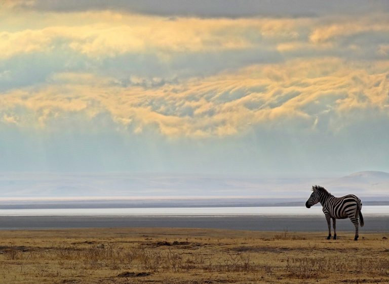 7 Days Tanzania Tour