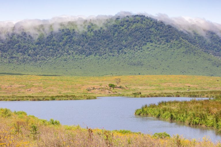 3 Day Tanzania Safari Holiday