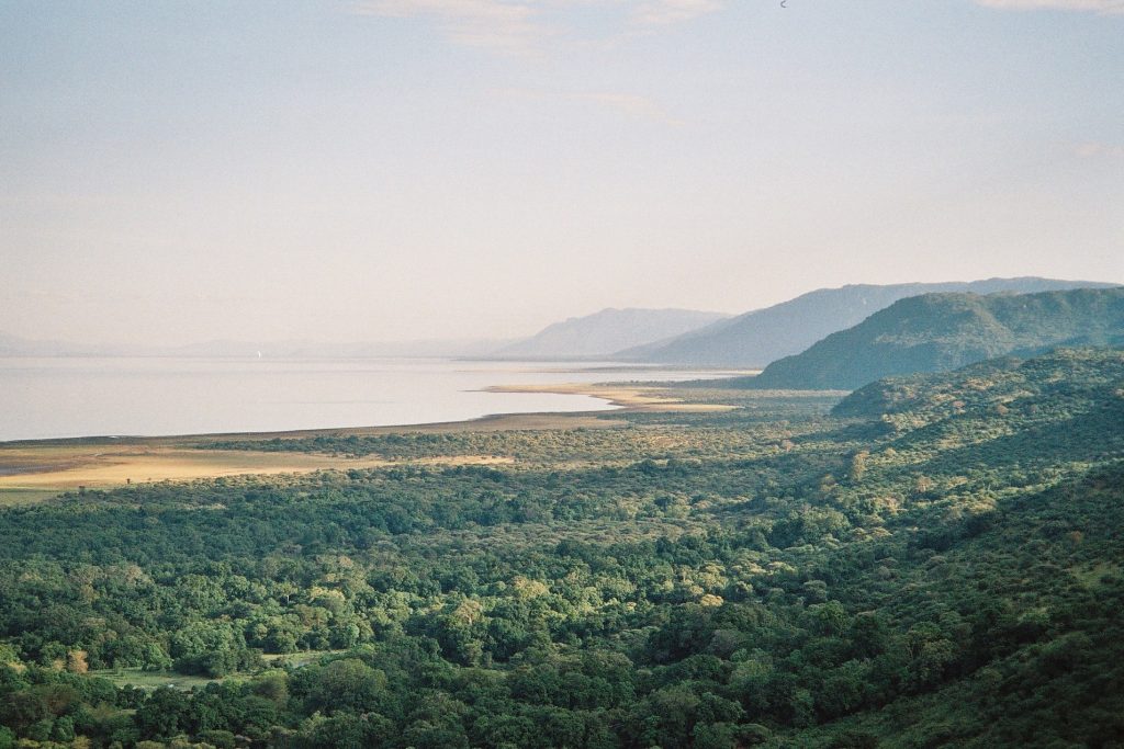 Lake Manyara seen from high on the rift escarpment, its pale shallow water meeting a broad band of dark green groundwater forest along the shoreline.