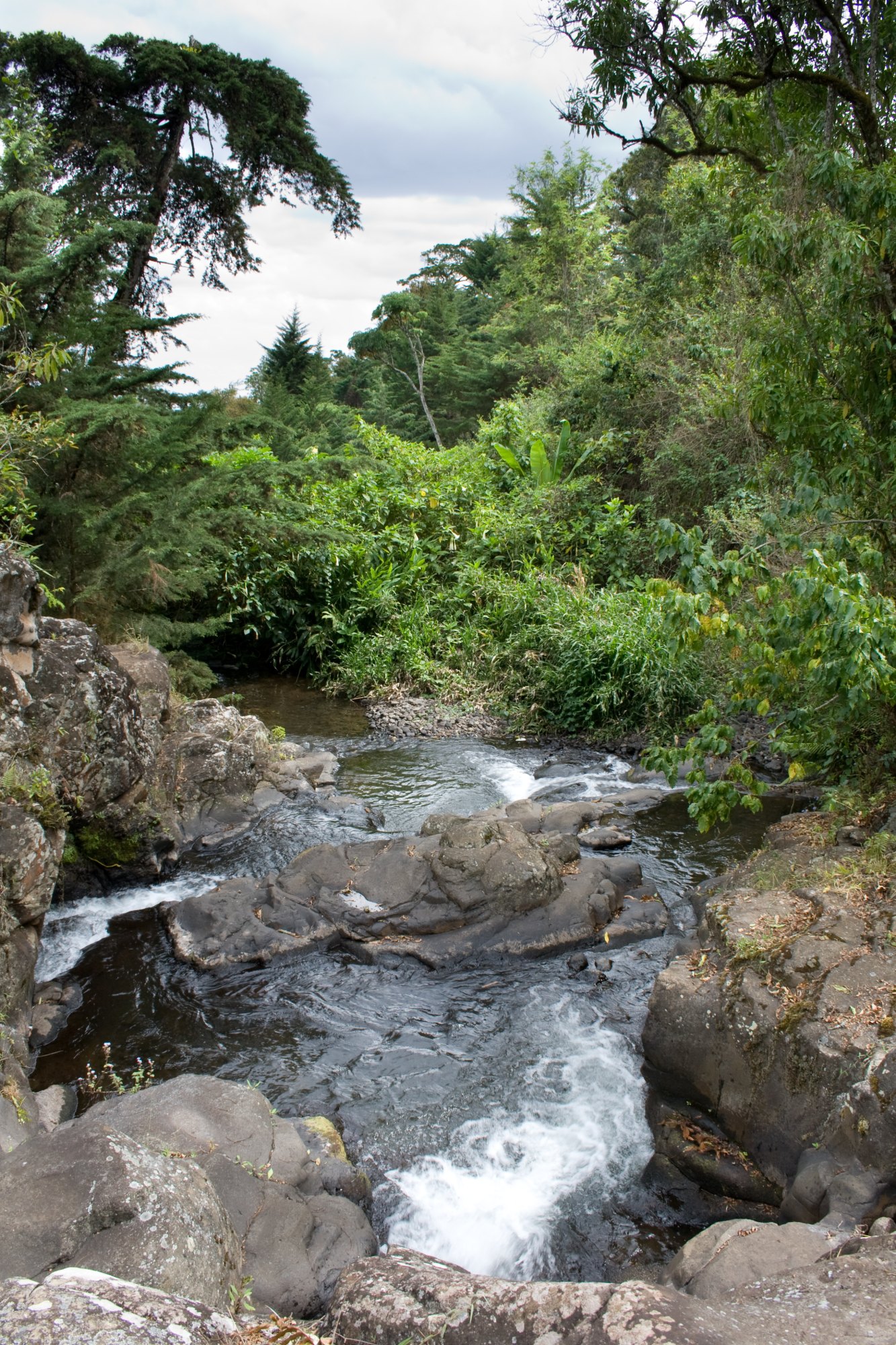 A clear stream drops over dark boulders in a narrow steep-sided gorge at Marangu, closed in on both sides by dense green forest.