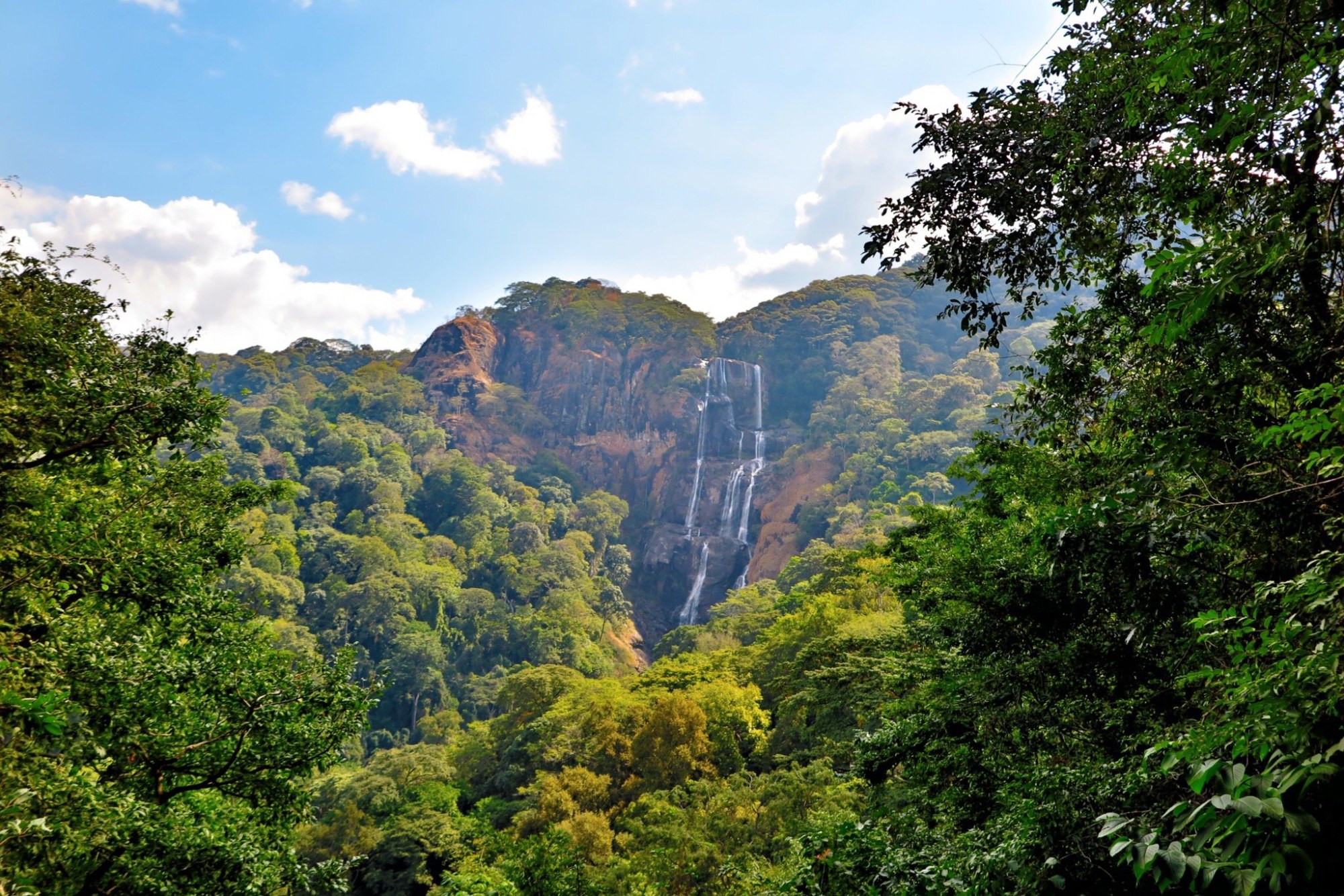 A tall waterfall dropping down a rust-coloured cliff face deep in the rainforest, seen across a foreground of sunlit green canopy under a blue sky with scattered cloud.