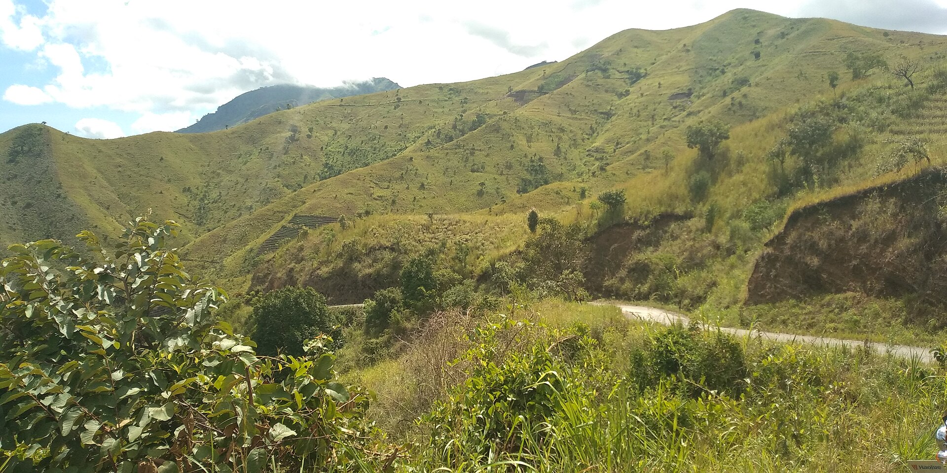 A green mountain ridge with a dirt track winding up the flank, dense scrub in the foreground and a run of bare grassy summits above.