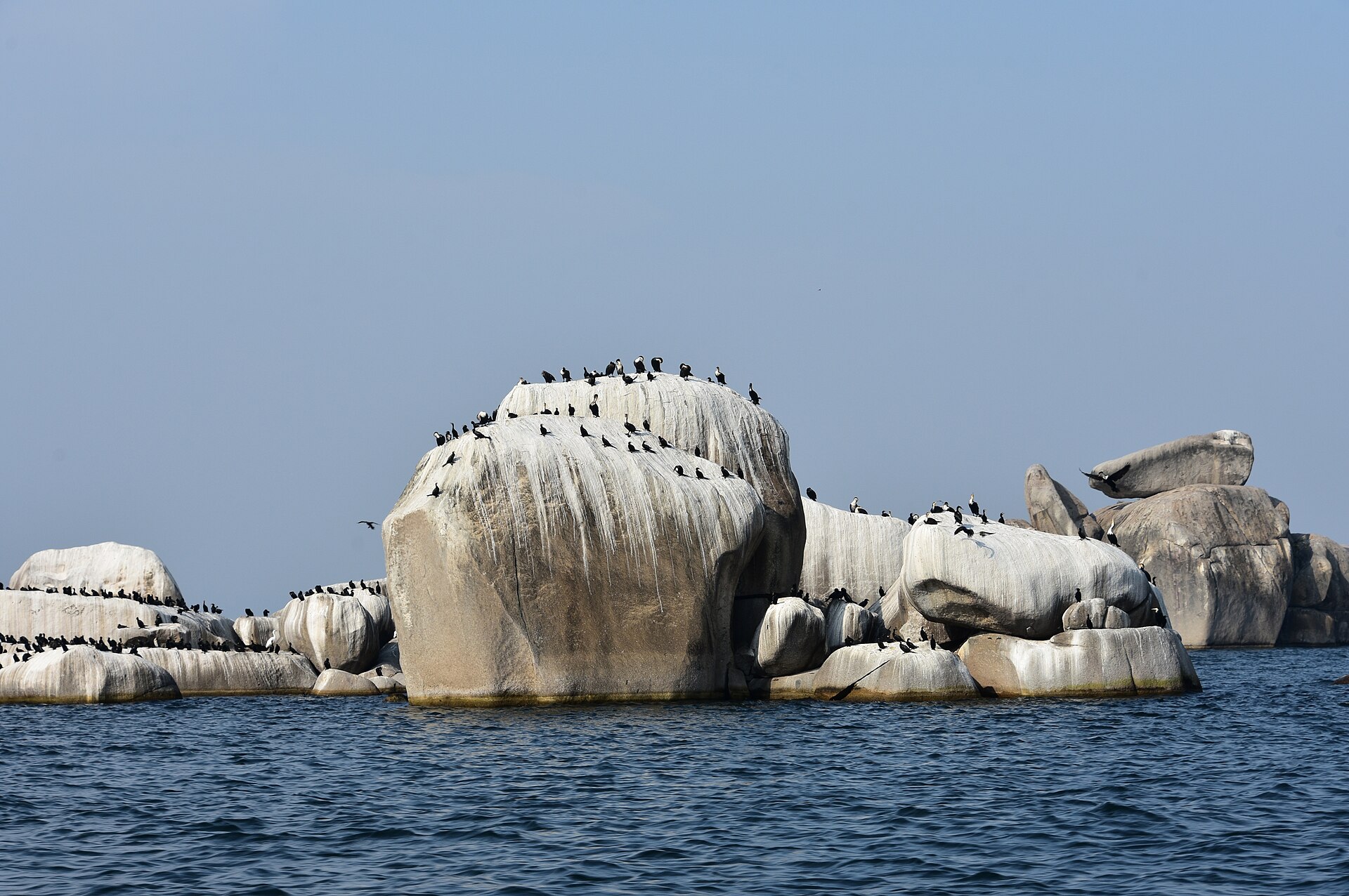A cluster of smooth granite boulders rising straight out of the lake, their tops streaked white and crowded with roosting cormorants.