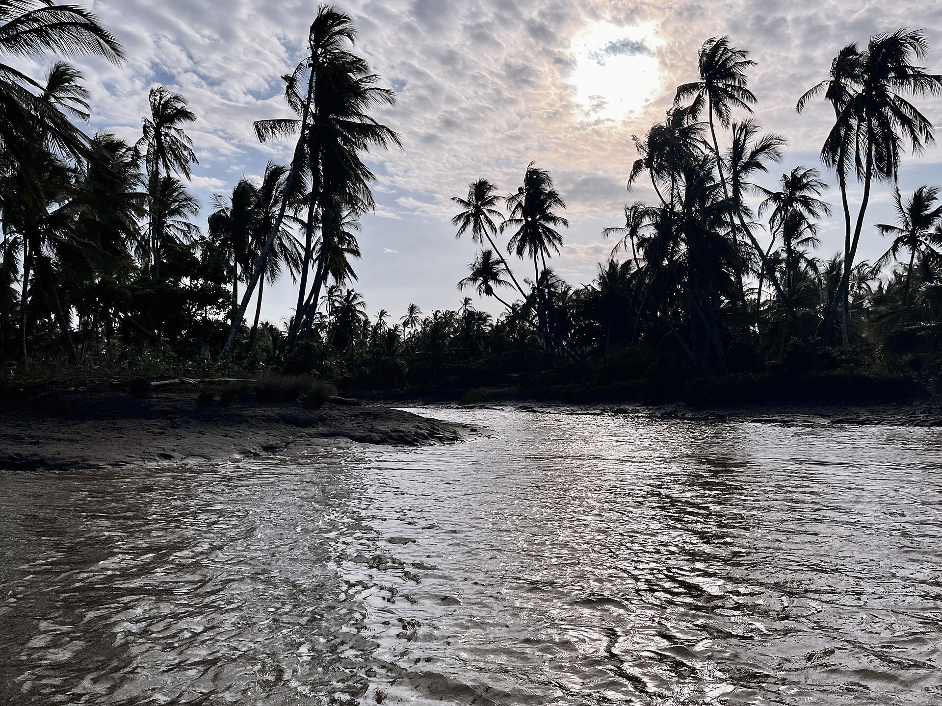 The Pangani River at sunset, its rippled surface catching the light while tall coconut palms along the far bank stand in silhouette against a bright, cloud-streaked sky.