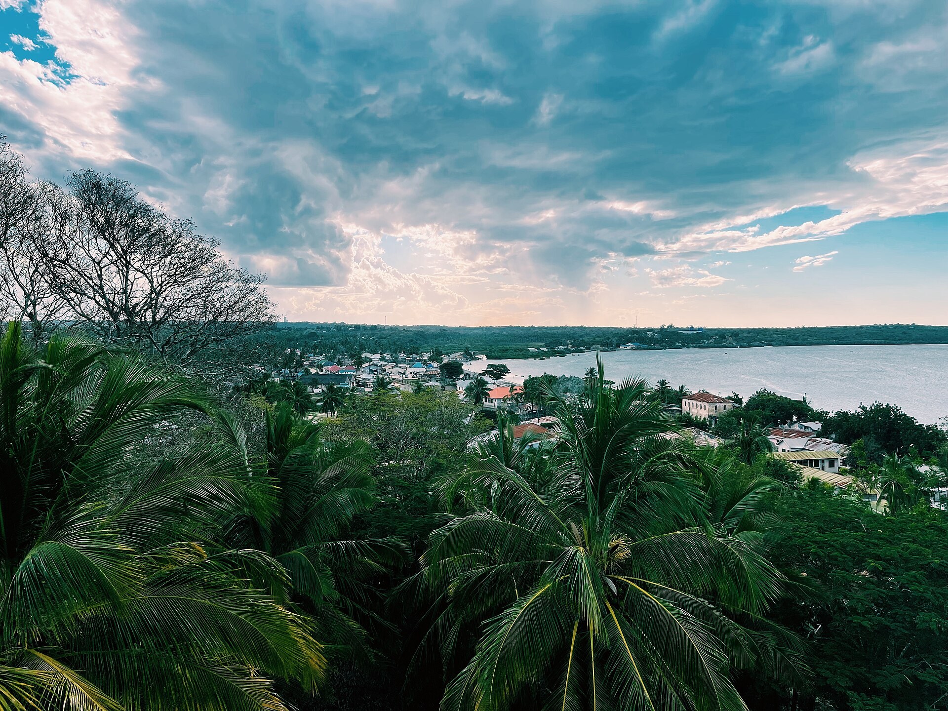 View over Mikindani from a hillside, looking across coconut palms to the red-roofed town spread around its wide, sheltered bay under a streaked blue sky.