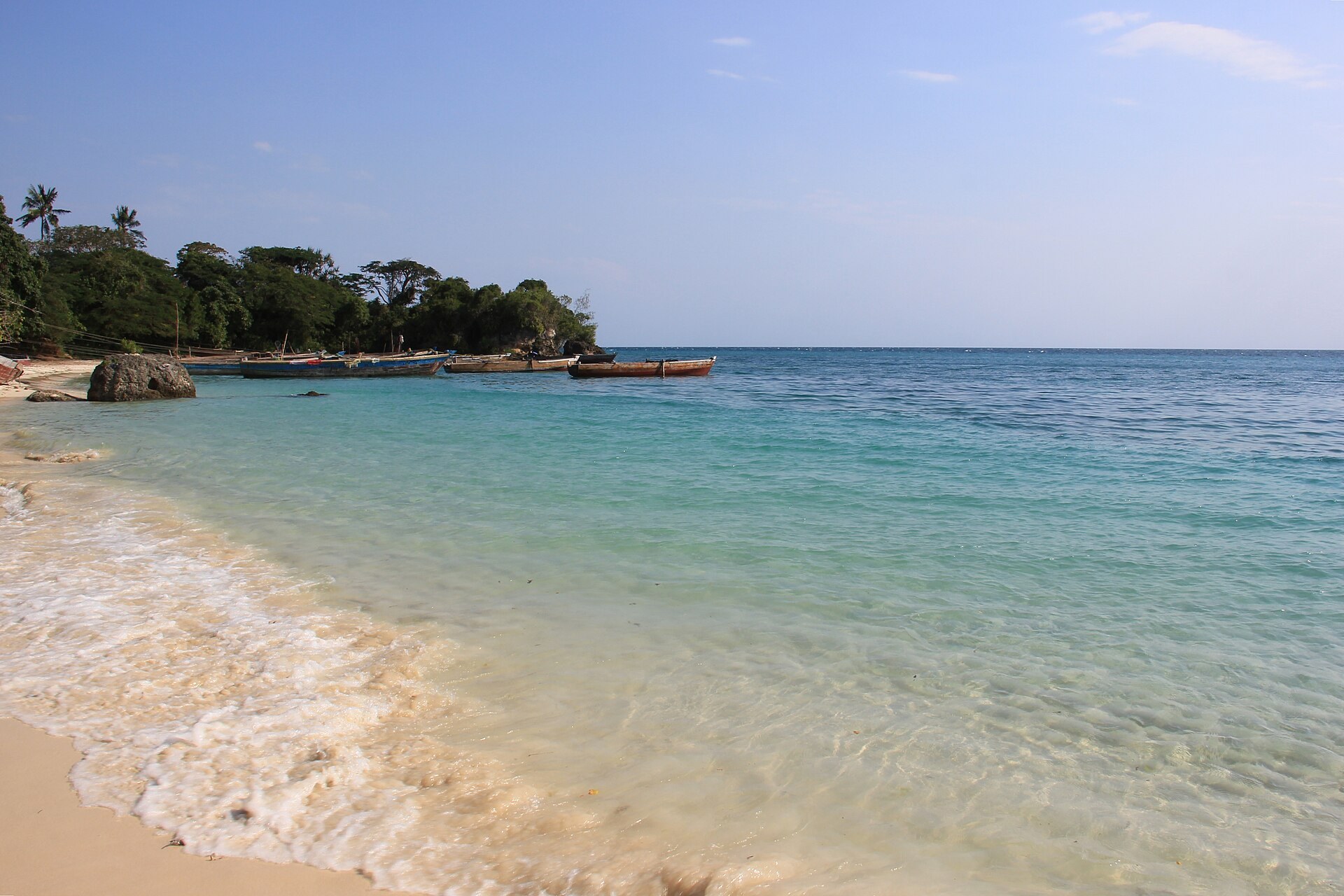 The sheltered beach at Mangapwani, where pale sand meets clear turquoise water below a low coral cliff topped with dense green trees.