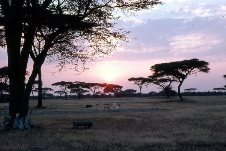 5 Days Explore Serengeti Tanzania